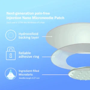 Nano Μicroneedle Patch with SΜGT-G L P 1