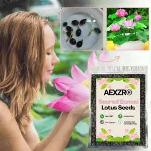 AEXZR® Sacred Bonsai Lotus Seeds
