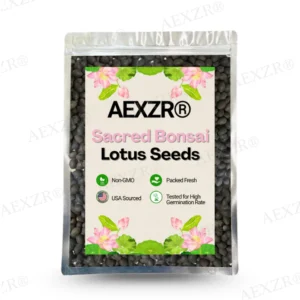 AEXZR® Sacred Bonsai Lotus Seeds 13 AEXZR® Sacred Bonsai Lotus Seeds