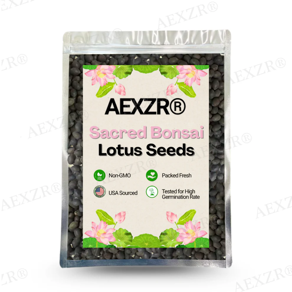 AEXZR® Sacred Bonsai Lotus Seeds 7 AEXZR® Sacred Bonsai Lotus Seeds