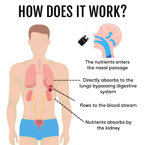 Cvreoz® Kidney Boost & Care Inhaler 5 Cvreoz® Kidney Boost & Care Inhaler - Image 5