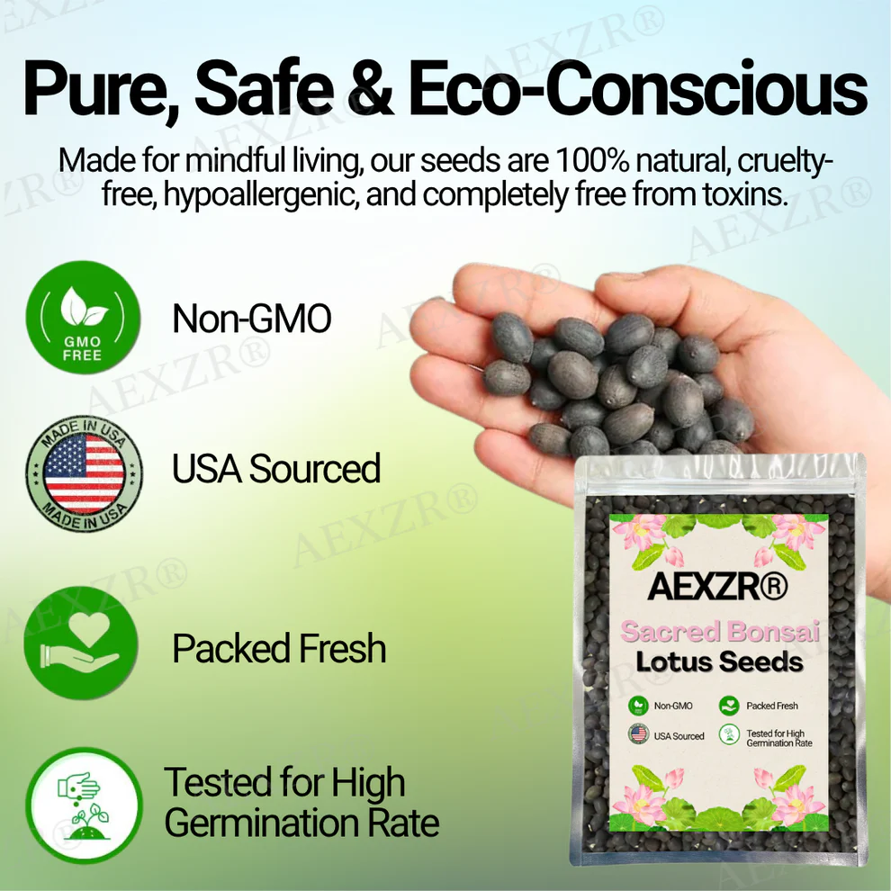 AEXZR® Sacred Bonsai Lotus Seeds 2 AEXZR® Sacred Bonsai Lotus Seeds