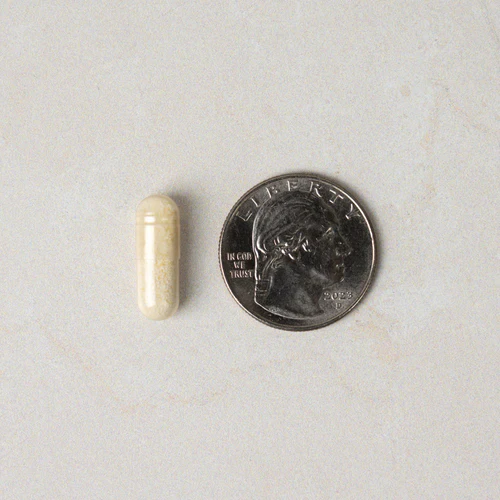 Neuralli MP 3 Neuralli MP