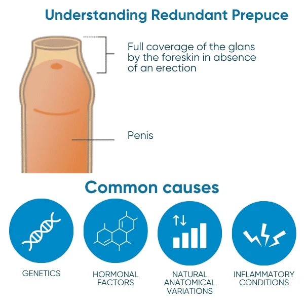 BruteCo™ Redundant Prepuce Corrector Gel 3 BruteCo™ Redundant Prepuce Corrector Gel