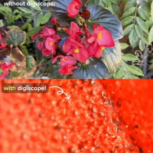 The DigiScope™ – digital microscope