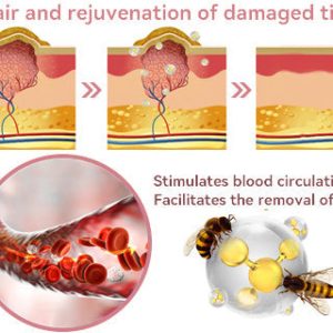 Awzlove™ Coenzyme Q10 Collagen Jelly Skin Cream 18 Coenzyme Q10 Collagen Jelly Skin Cream