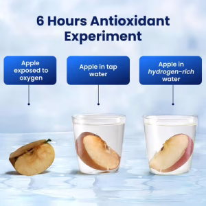 AliveBlue Hydrogen Bottle 15 AliveBlue Hydrogen Bottle