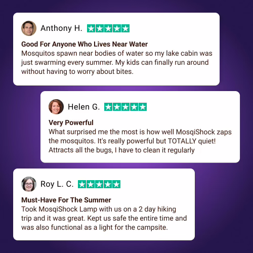 The MosqiShock mosquito lamp 12 The MosqiShock mosquito lamp