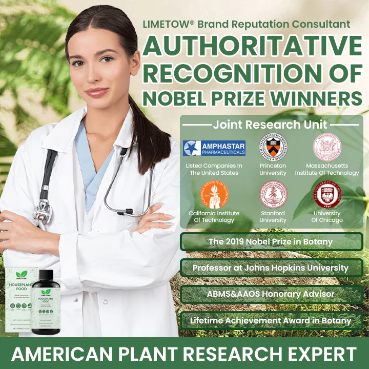 LIMETOW® House Plant Food 9 LIMETOW® House Plant Food - Image 9