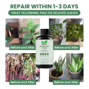 LIMETOW® House Plant Food 24 LIMETOW® House Plant Food