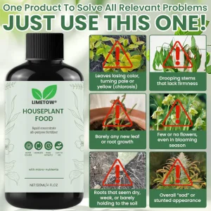 LIMETOW® House Plant Food 16 LIMETOW® House Plant Food