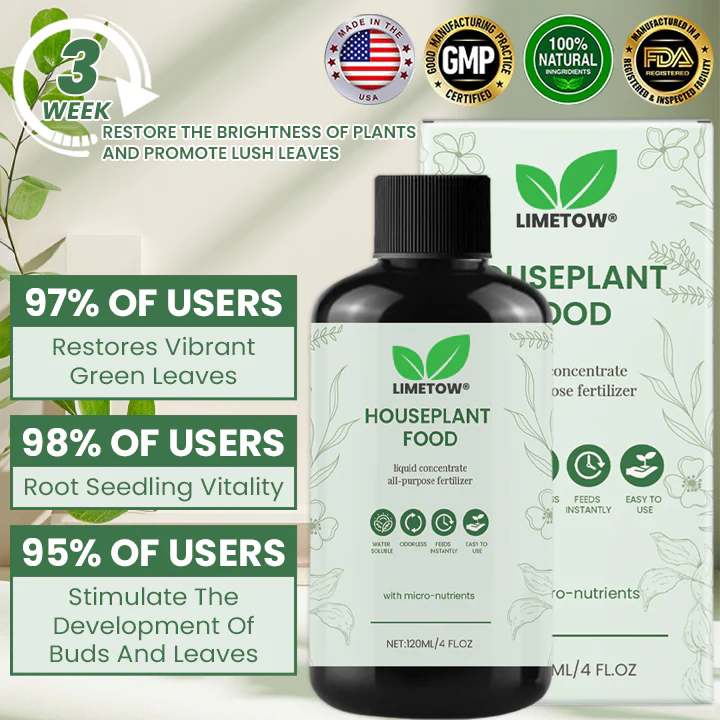 LIMETOW® House Plant Food 4 LIMETOW® House Plant Food - Image 4