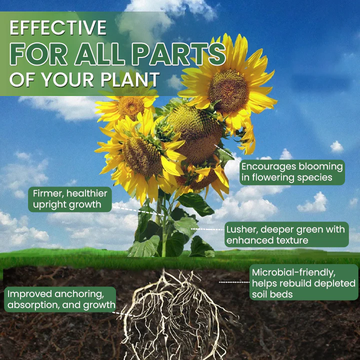 LIMETOW® House Plant Food 5 LIMETOW® House Plant Food - Image 5