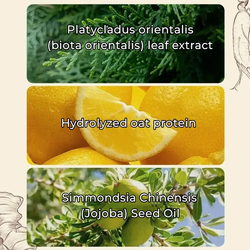 LOVILDS™ Ginseng Ginger Anti-Hair Loss Shampoo 300ml 3 LOVILDS™ Ginseng Ginger Anti-Hair Loss Shampoo 300ml