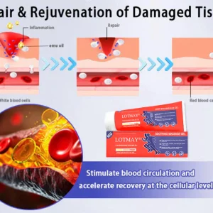 LOTMAY® Turmeric & Emu Oil Arthritis Soothing Pain Relief Massage Gel 20 LOTMAY® Turmeric & Emu Oil Arthritis Soothing Pain Relief Massage Gel