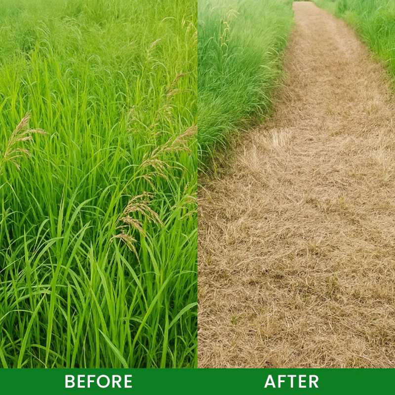 LIMETOW® Weed Remover 12 LIMETOW® Weed Remover