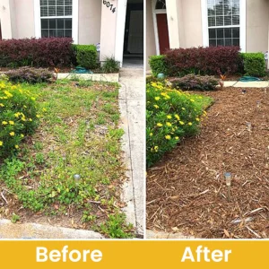 LIMETOW® Glufosinate Ammonium Salt Herbicide Agent 26 LIMETOW® Glufosinate Ammonium Salt Herbicide Agent