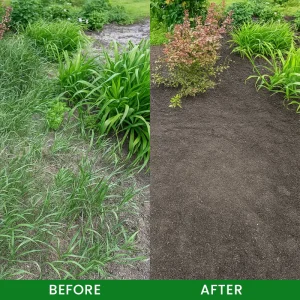 LIMETOW® Cyclosinone Herbicide Granules 25 LIMETOW® Cyclosinone Herbicide Granules