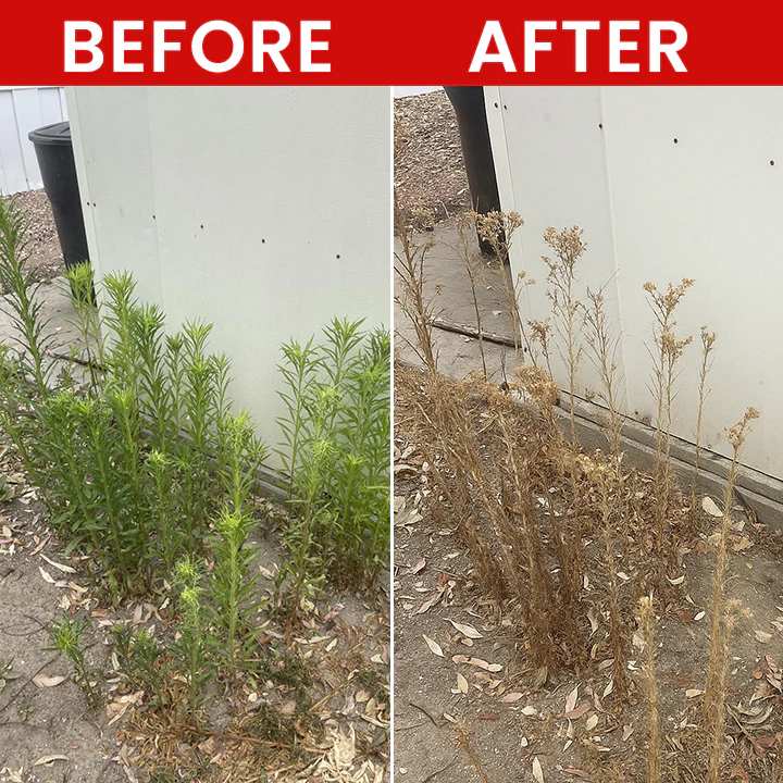 LIMETOW® Weed Killer Spray 12 LIMETOW® Weed Killer Spray