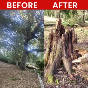 LIMETOW® Weed Killer Spray 26 LIMETOW® Weed Killer Spray