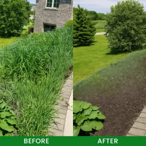 LIMETOW® Cyclosinone Herbicide Granules 27 LIMETOW® Cyclosinone Herbicide Granules