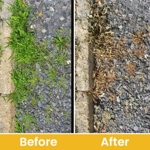 LIMETOW® Glufosinate Ammonium Salt Herbicide Agent 28 LIMETOW® Glufosinate Ammonium Salt Herbicide Agent