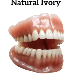 NESLEMY™ Advanced Customized Full Denture Set 16 NESLEMY™ Advanced Customized Full Denture Set