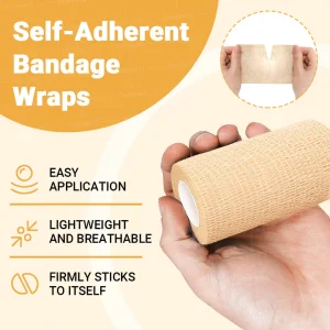 Ourlyard® Composite GLP-1 Microneedle Tape 8 Ourlyard® Composite GLP-1 Microneedle Tape