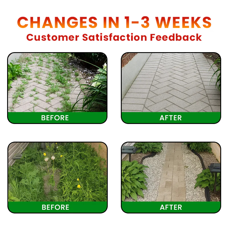 LIMETOW® Cyclosinone Herbicide Granules 3 LIMETOW® Cyclosinone Herbicide Granules