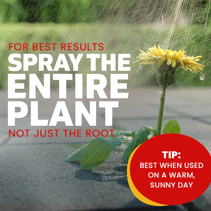 LIMETOW® Weed Killer Spray 3 LIMETOW® Weed Killer Spray