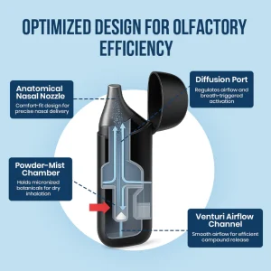 DAFEILA® FreshLoom Cognitive Regeneration Inhaler 10 DAFEILA® FreshLoom Cognitive Regeneration Inhaler