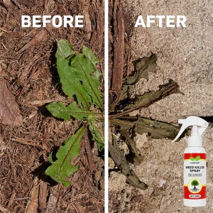 LIMETOW® Weed Killer Spray 17 LIMETOW® Weed Killer Spray