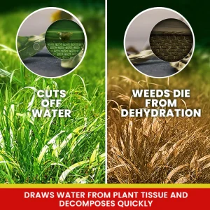 LIMETOW® Weed Killer Spray 18 LIMETOW® Weed Killer Spray