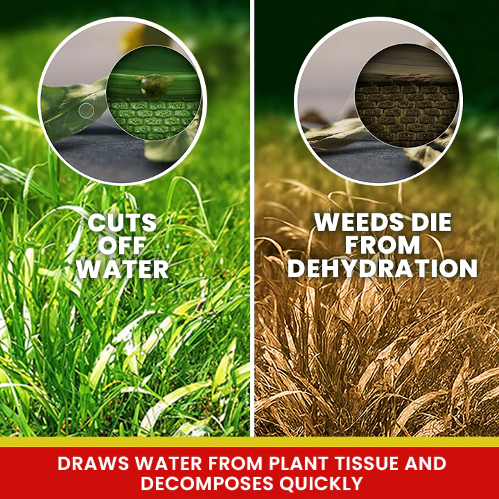 LIMETOW® Weed Killer Spray 5 LIMETOW® Weed Killer Spray