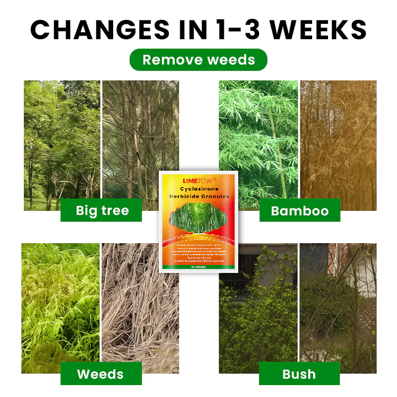 LIMETOW® Cyclosinone Herbicide Granules 6 LIMETOW® Cyclosinone Herbicide Granules