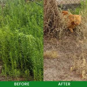 LIMETOW® Weed Remover 20 LIMETOW® Weed Remover