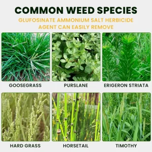 LIMETOW® Glufosinate Ammonium Salt Herbicide Agent 24 LIMETOW® Glufosinate Ammonium Salt Herbicide Agent