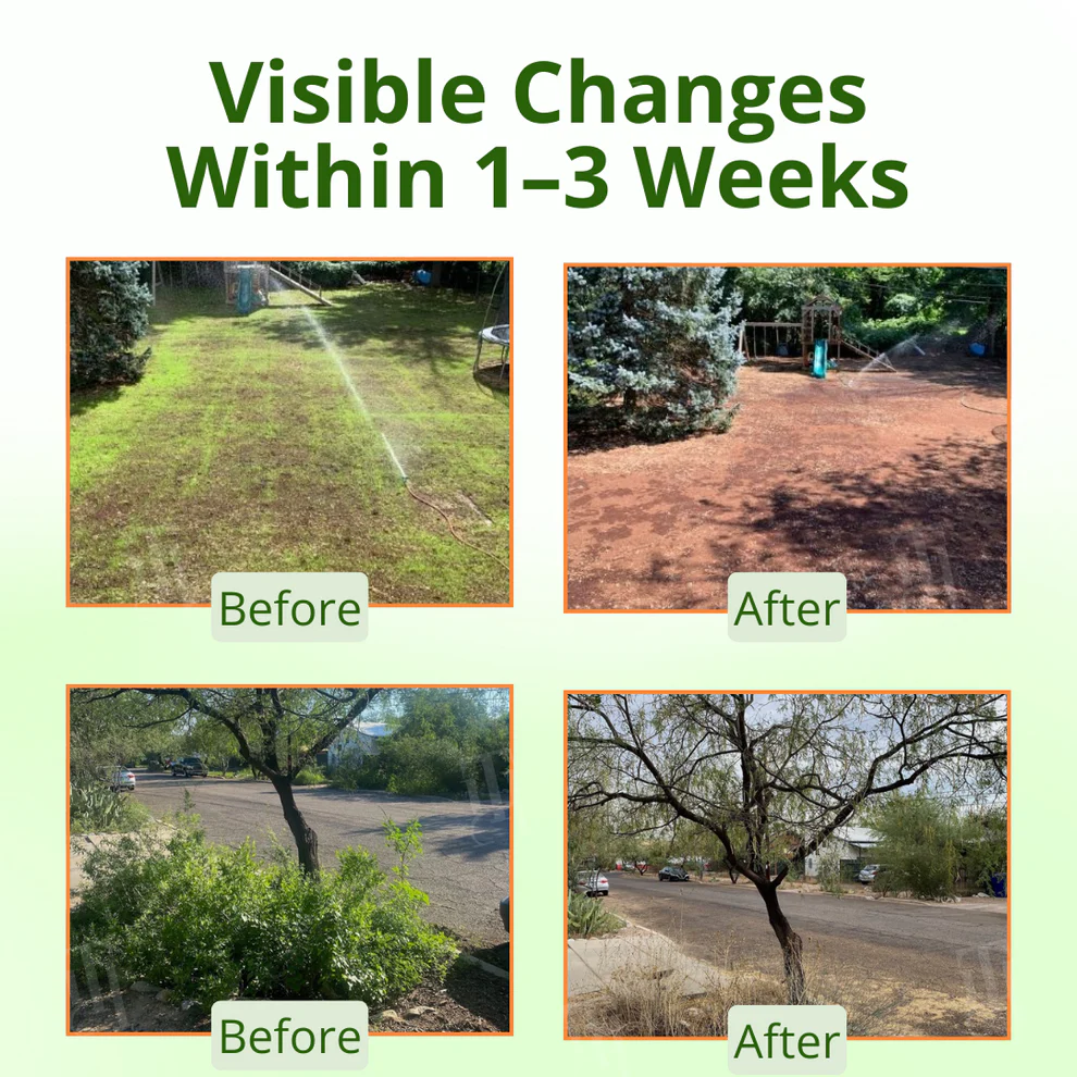 AEXZR® Cyclosinone Herbicide Granules 3 AEXZR® Cyclosinone Herbicide Granules