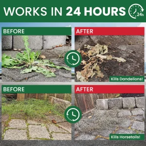 LIMETOW® Weed Destruction Powder 19 LIMETOW® Weed Destruction Powder