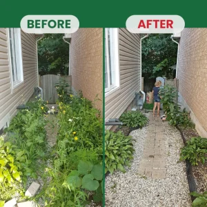 LIMETOW® Weed Destruction Powder 31 LIMETOW® Weed Destruction Powder