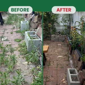 LIMETOW® Weed Destruction Powder 32 LIMETOW® Weed Destruction Powder