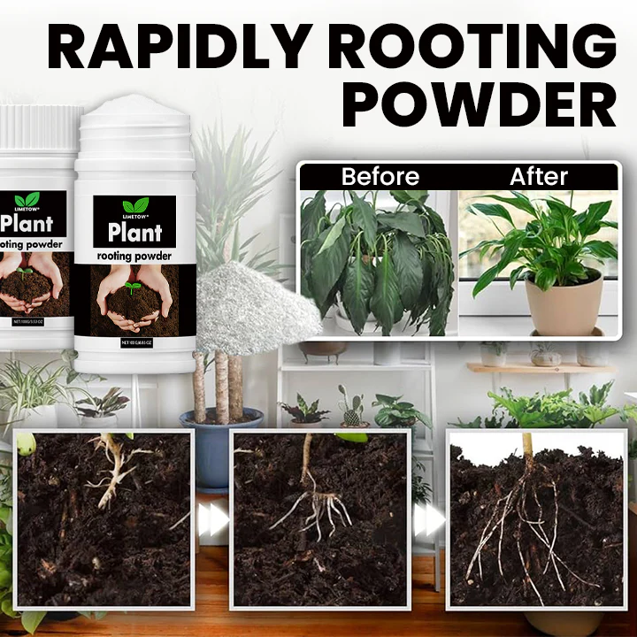 LIMETOW® Plant Rooting Powder 10 LIMETOW® Plant Rooting Powder