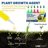 LIMETOW® Plant Teranry Regenerant 13 LIMETOW® Plant Teranry Regenerant