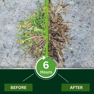 Cvreoz® 2 in 1 Max Power Herbicide
