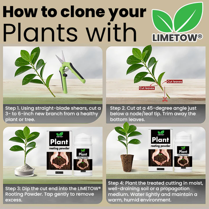 LIMETOW® Plant Rooting Powder 11 LIMETOW® Plant Rooting Powder