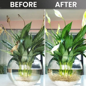 LIMETOW® Plant Rooting Powder 28 LIMETOW® Plant Rooting Powder