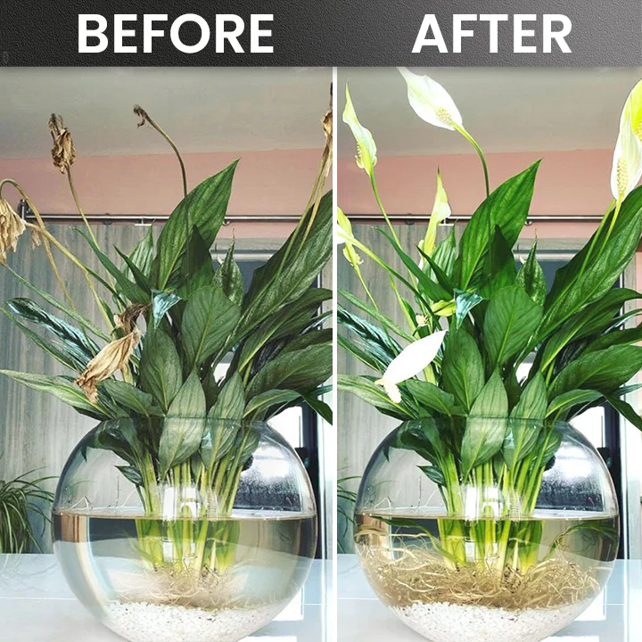 LIMETOW® Plant Rooting Powder 14 LIMETOW® Plant Rooting Powder