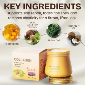 Snail Hydrating Anti-Wrinkle and Rejuvenating Cream 13 Snail Hydrating Anti-Wrinkle and Rejuvenating Cream