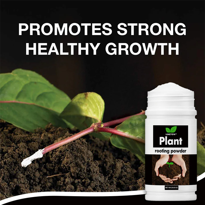 LIMETOW® Plant Rooting Powder 2 LIMETOW® Plant Rooting Powder
