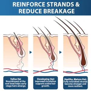 Rolimey® Stem Cell Hair Cycle Roller 16 Rolimey® Stem Cell Hair Cycle Roller